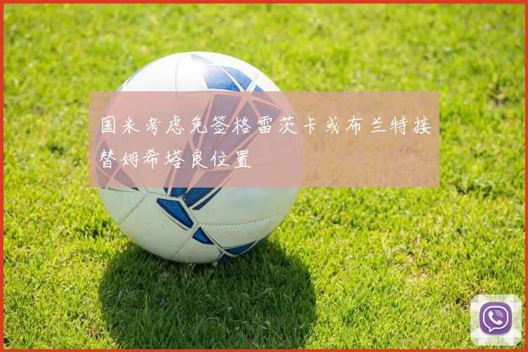 国米考虑免签格雷茨卡或布兰特接替姆希塔良位置