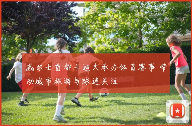 威尔士首都卡迪夫承办体育赛事 带动城市旅游与球迷关注