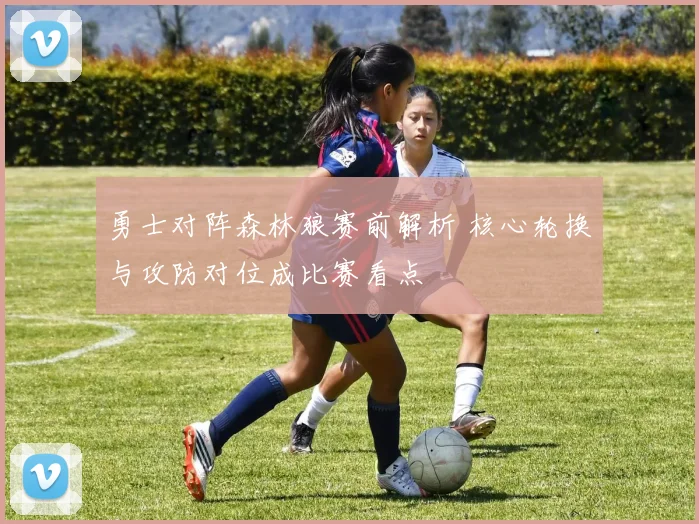 勇士对阵森林狼赛前解析 核心轮换与攻防对位成比赛看点