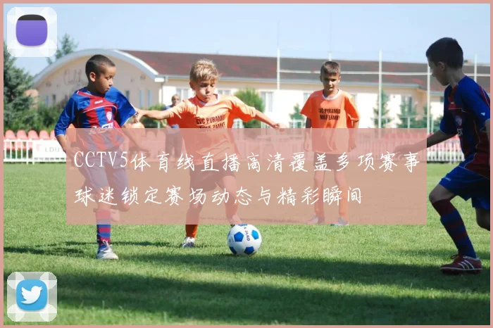 CCTV5体育线直播高清覆盖多项赛事球迷锁定赛场动态与精彩瞬间